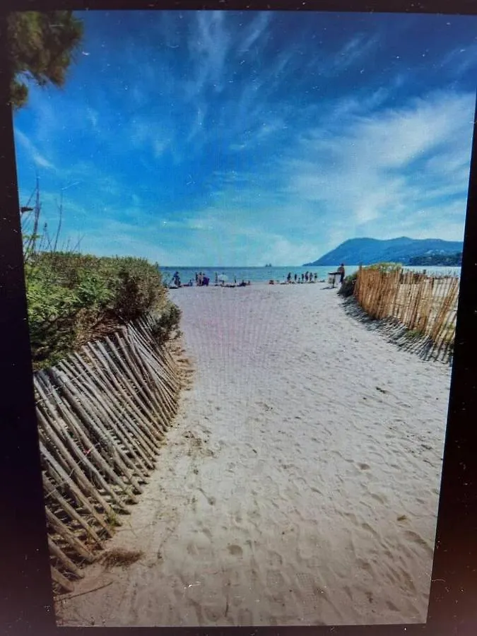 Pin Rollan Beach Saint-Mandrier-sur-Mer France
